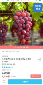 레드클라넷 500g 1송이