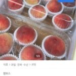 국내산 여름 털복숭아 4kg