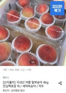 국내산 여름 털복숭아 4kg
