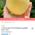 국내산 햇배 4kg 중소과