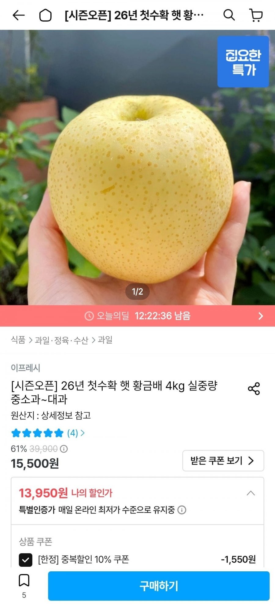 국내산 햇배 4kg 중소과