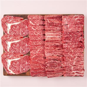 1++한우 투뿔 소한마리 모둠, 400g, 1세트 + 사은품