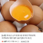 국내산 난각번호1번 유정란 무항생제 자연방목 계란 대란 20구