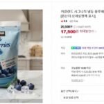 커클랜드 냉동 블루베리 2.27kg