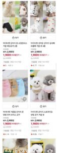 강아지옷 시즌오프 전품목