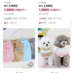 강아지옷 시즌오프 전품목