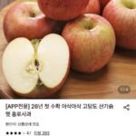 햇 빨간사과 홍로 2kg 13과 소과 외 다양