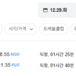 부산-나고야 1229-0104 대한항공