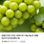 16Brix 당도선별 샤인머스켓 1.5kg