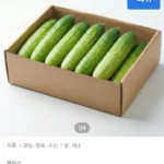 국내산 백다다기 오이 4.5kg