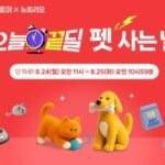 강아지 개껌 간식 티덴브러쉬