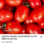 국산 대추방울토마토 2KG