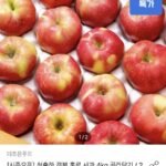 경북 홍로 사과 4kg 26-33과