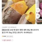 세척 해남 베니하루카 꿀고구마 3kg 한입