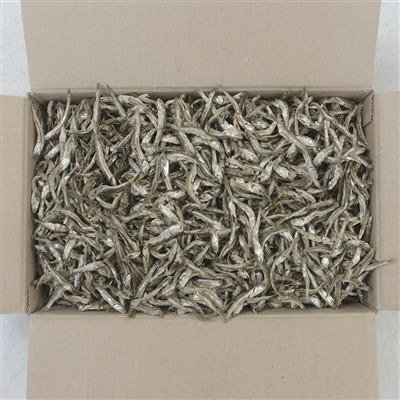 국내산 햇 고바멸치, 1.5kg, 1개