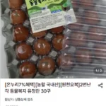 2번난각 동물복지 유정란 30구(농할 20%+온누리 가능)