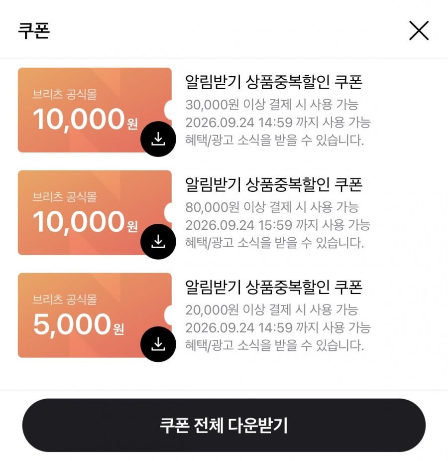 브리츠 오픈이어링 이어폰 + 전용 충전기
