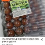 2번난각 동물복지 유정란 30구