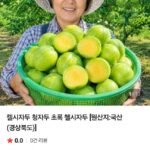 켈시자두 청자두 초록 첼시자두