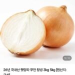 국내산 햇 양파 중사이즈 1.5kg