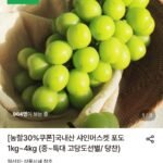 샤인머스켓 1kg 중 2송이
