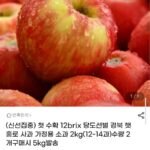 12Brix 당도선별 경북 햇 홍로사과 소과 2kg