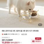 애완견 유리 식기 세트