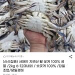 서해안 자연산 활 꽃게 100% 생물 2kg 6-12미내외