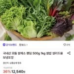 국내산 모듬 쌈채소 랜덤 1kg