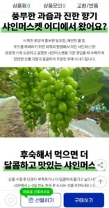 산지직송 고당도 샤인머스켓 2kg 3~4수