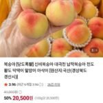 대월 딱딱이복숭아 3kg 소과
