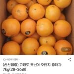 호주산 못난이 오렌지 7kg