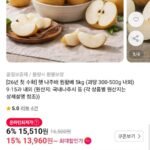 26년 햇 나주배 원황배 5kg 9-15과 내외