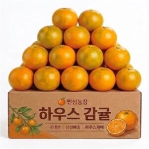 찐심농장 청정제주 산지직송 하우스귤, 2kg, 1박스
