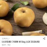 가정용 배 5kg 소과 20과내외