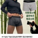 4+1 남성 기능성 음낭분리팬티 향균 뱀부원단 드로즈