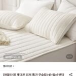 벨리에르 워싱 밴딩 베개덮개 2장
