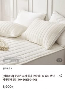 벨리에르 워싱 밴딩 베개덮개 2장