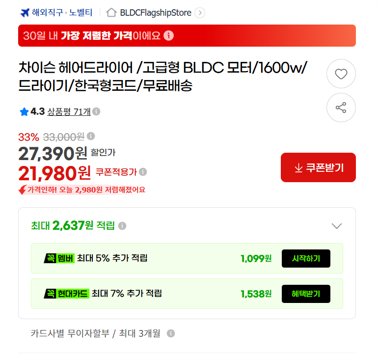 차이슨 헤어드라이어 고급형 BLDC 모터