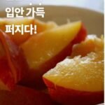 추희자두 3kg 고당도 왕특사이즈 150g 20개내외