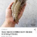 국내산 활 흰다리새우 대 500g