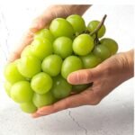 산지직송 고당도 샤인머스캣 2kg 3~4수
