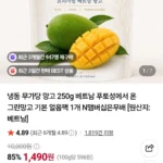 베트남 냉동 무가당 그린망고 250g