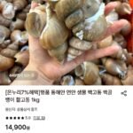 활 백고동 소소 1kg