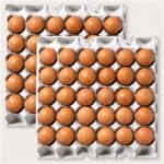 쫄깃 촉촉 구운계란 구운란 대란 30구+30구 (총 2판)