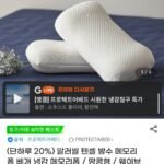 알러씰 텐셀 방수 냉감 메모리폼 베개 /땅콩형/웨이브형