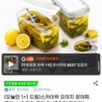 1+1 창신리빙 스카이락 오이지 장아찌 용기 수박 과일 용기