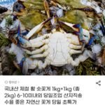 활 숫꽃게 1kg+1kg (총 2kg) 6-10미내외