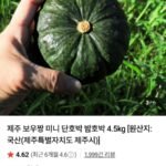 보우짱 미니 단호박 4.5kg