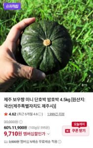 보우짱 미니 단호박 4.5kg